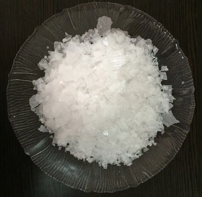 Organic Chemicals Sodium Hydroxide/Naoh CAS 1310-73-2