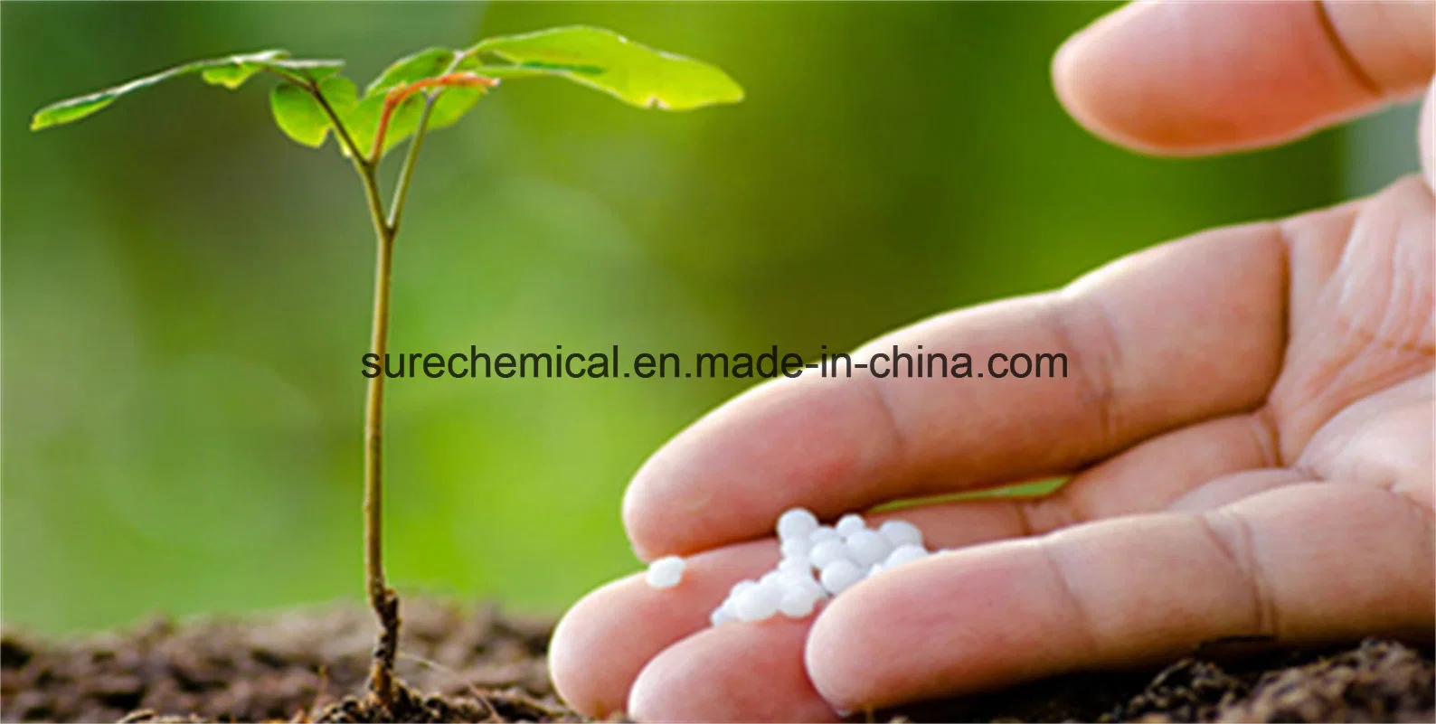 Water Soluble Fertilizer 0-0-50 Sop 50% Granular Potassium Sulphate