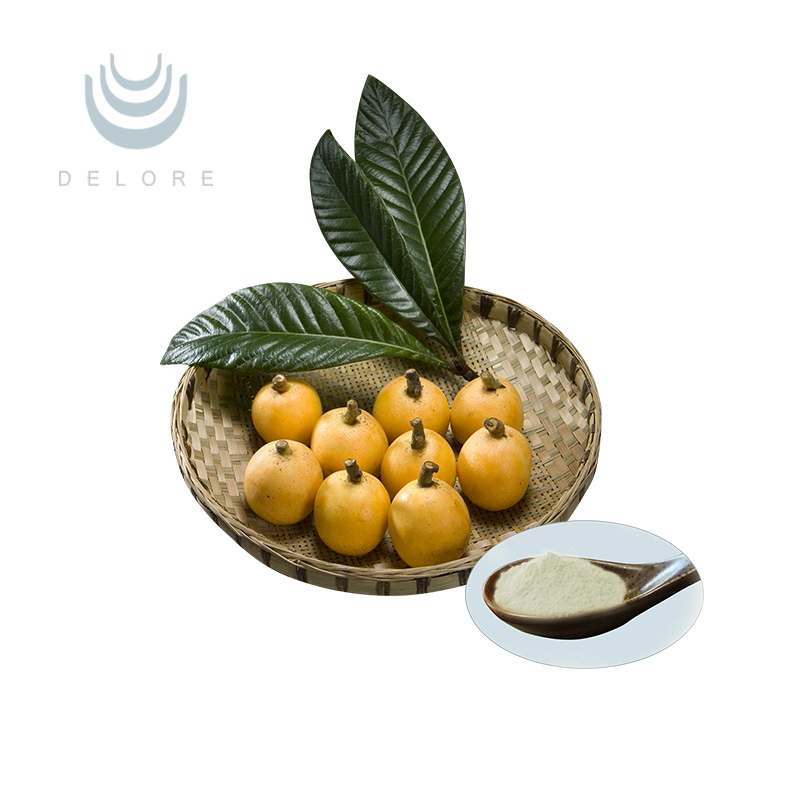 Natural Loquat Leaf Extract Ursolic Acid 50% for Health Supplement