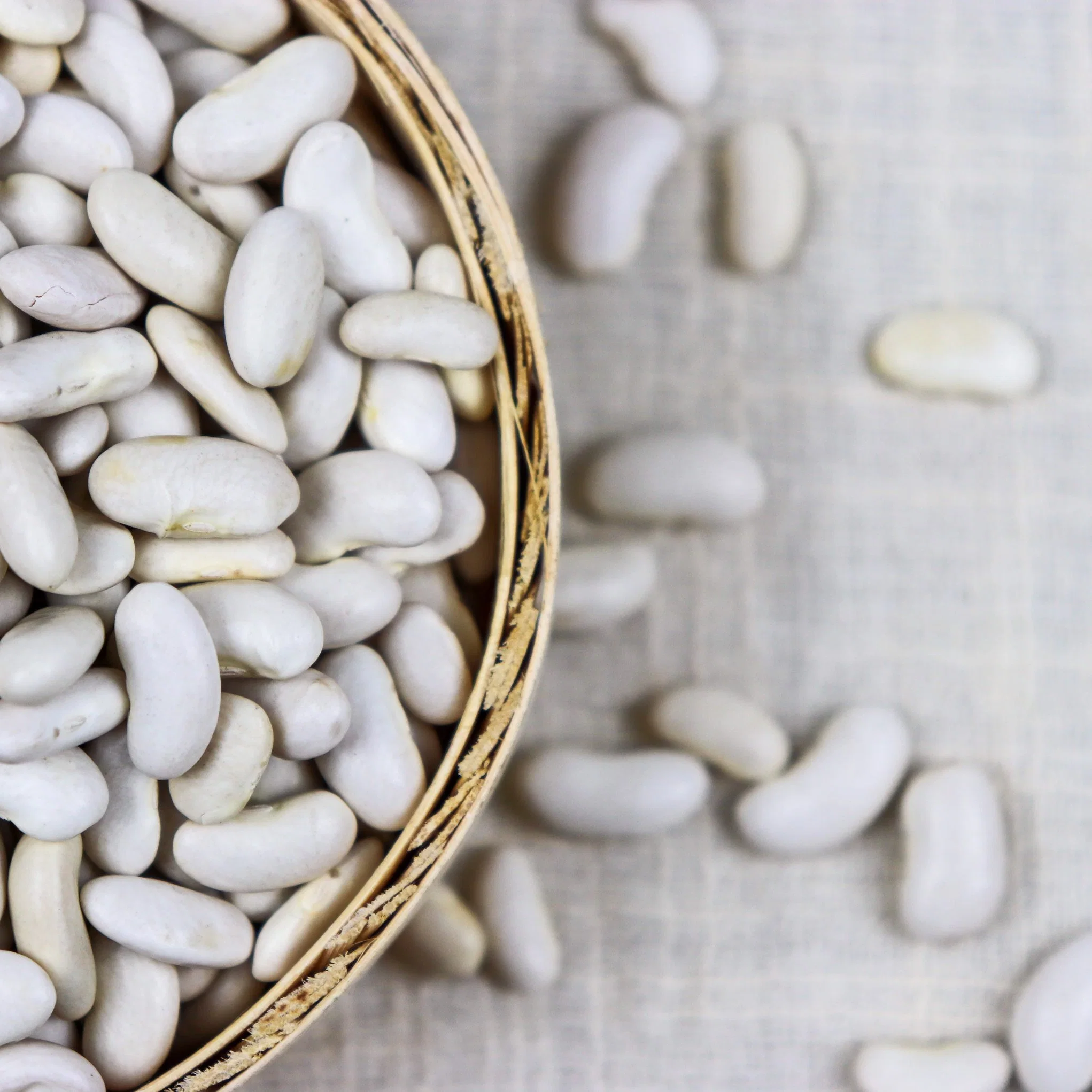 Good Quality and Best Factory Direct White Kidney Beans Price for Sale