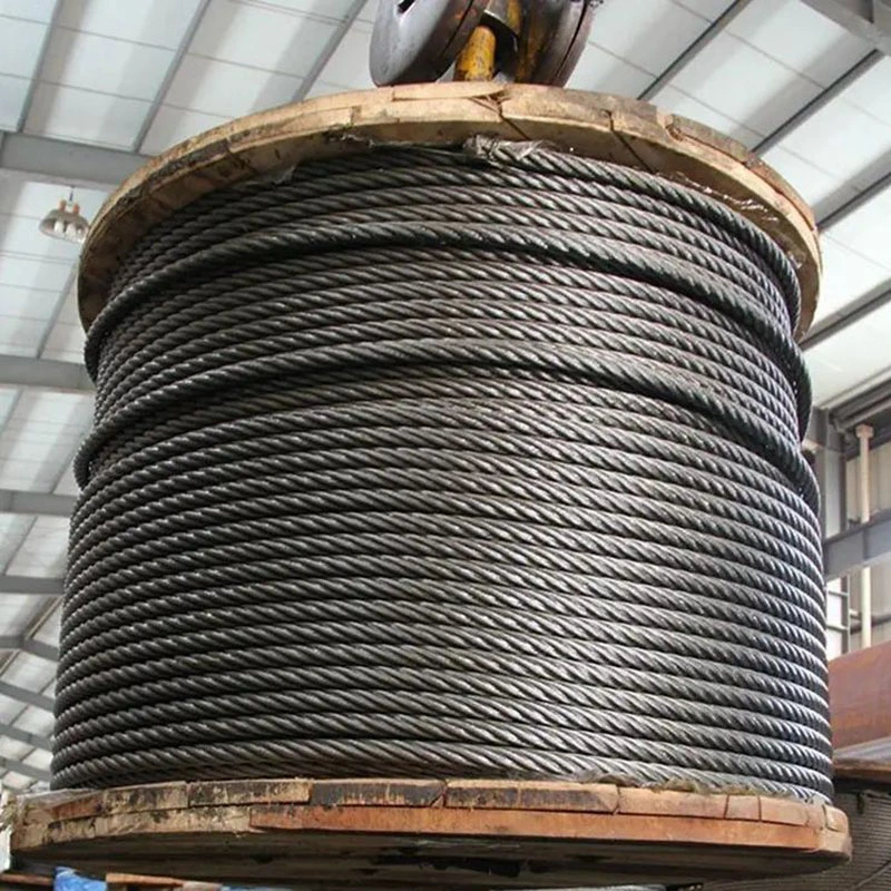 Round Strand Wire Rope 1*7 7*7 1*19 7*19 6*12 6*19 6*37 FC Iwrc Wire Rope Galvanized Wire Rope Elevator Rope Stainless Steel Wire Rope TPU/PVC Wire Rope