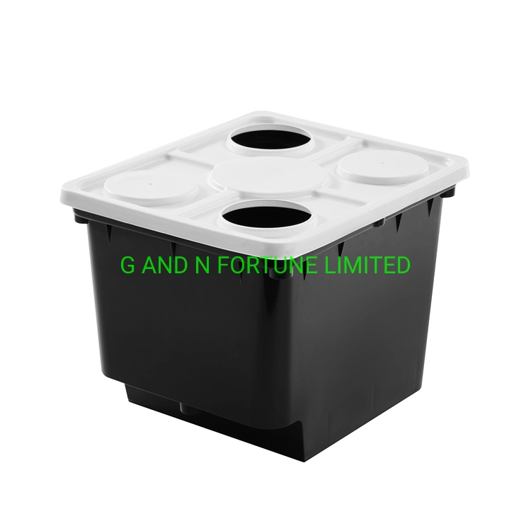 2020 New Dutch Bucket Container Hydroponic Growing System for Green House and Garden