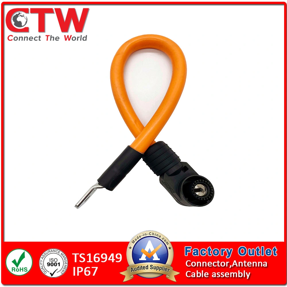 High Voltage Wire Harness for Automotive