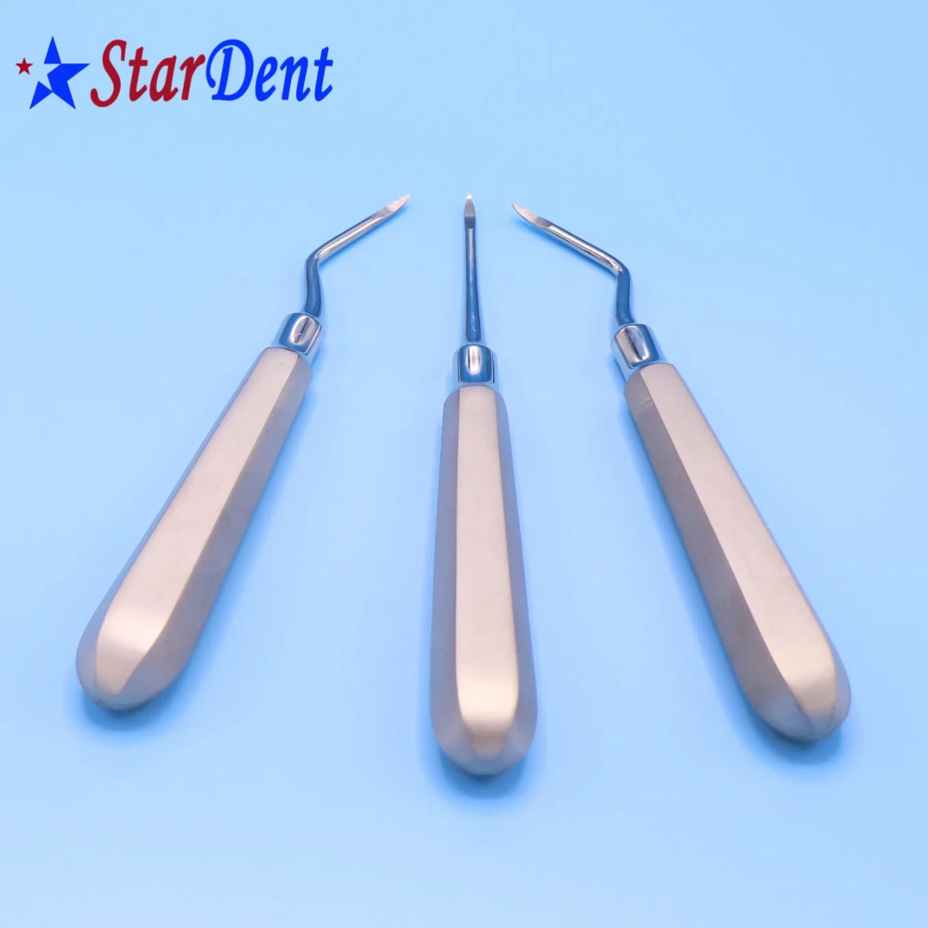 Hot Sale Dental Elevator Set/Dental Equipment/Dental Supplies