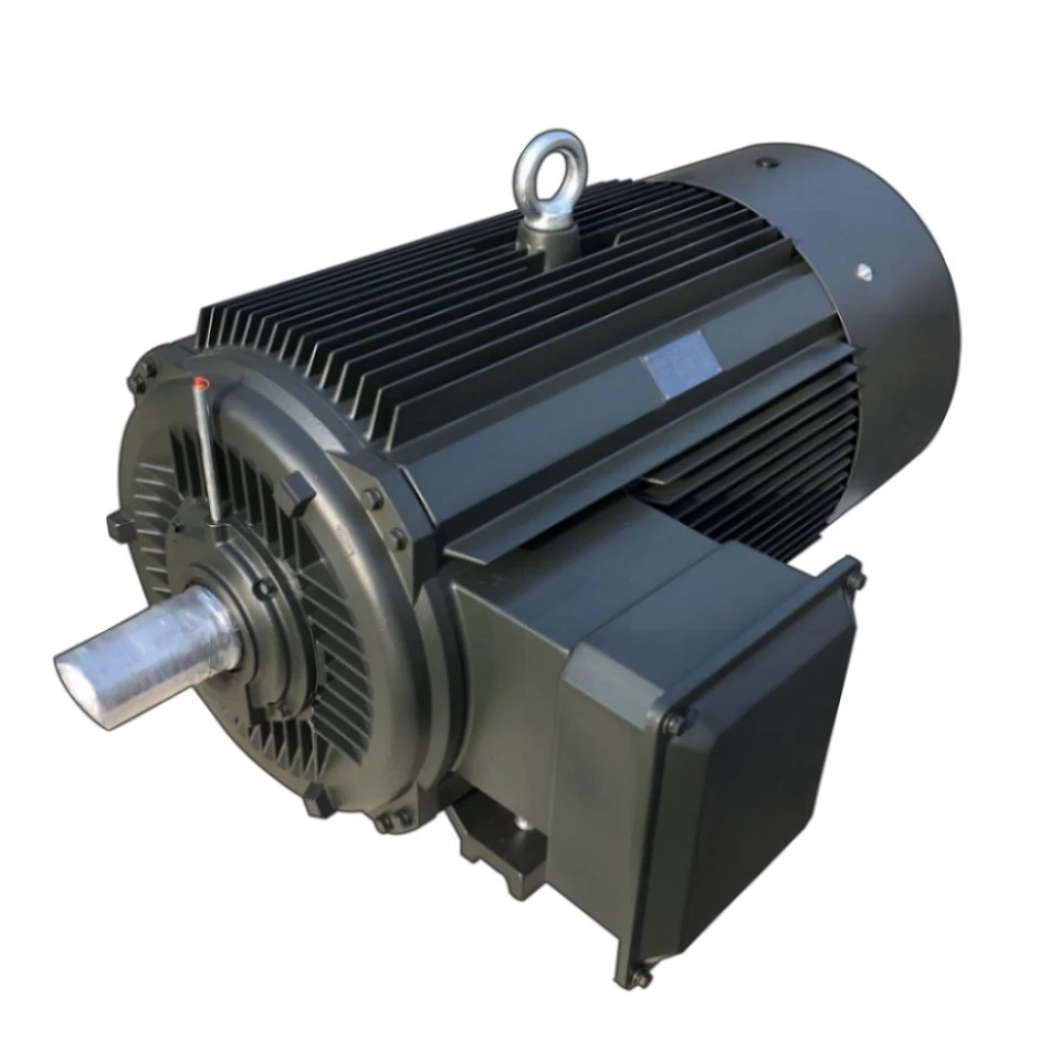 Ye Series 3 Phase Asynchronous Induction AC Motor CE Approval