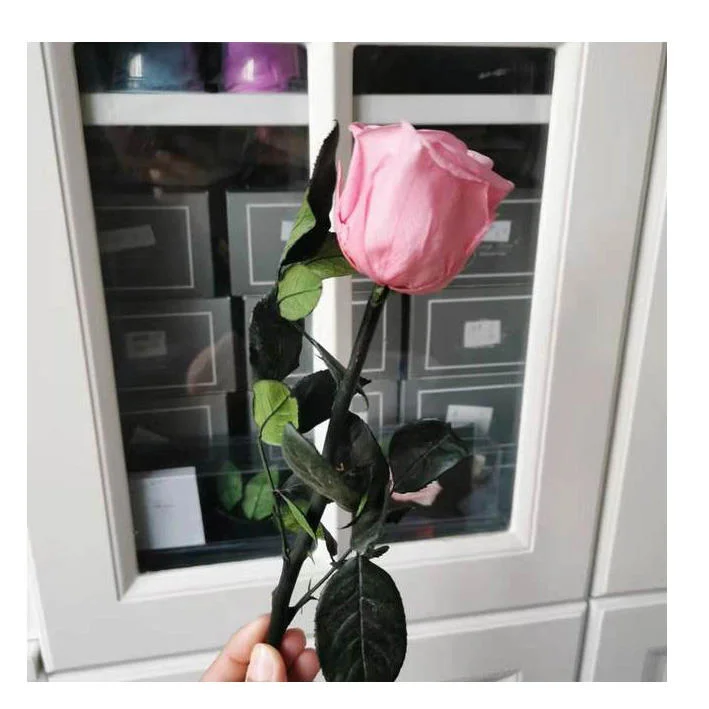 Forever Eternal Rose Preserved Artificial Rose Flower with Stem 8-9cm Real Touch Flowers Plastic Flower Fresh Cut Flower