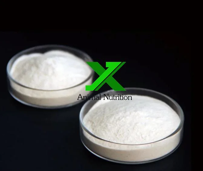 Feed Additives Yipin Brand L-Threonine 98.5% Powder