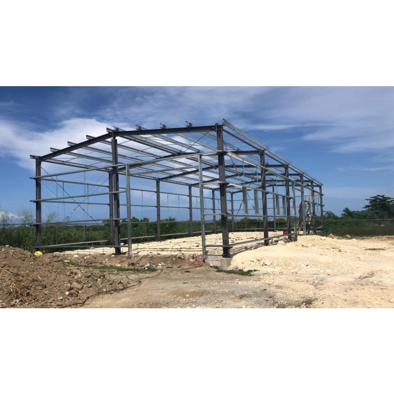 Steel Structure Construction Pre-Engineered Plant Prefabricated Industrial Factory Building Project for Warehouse Workshop