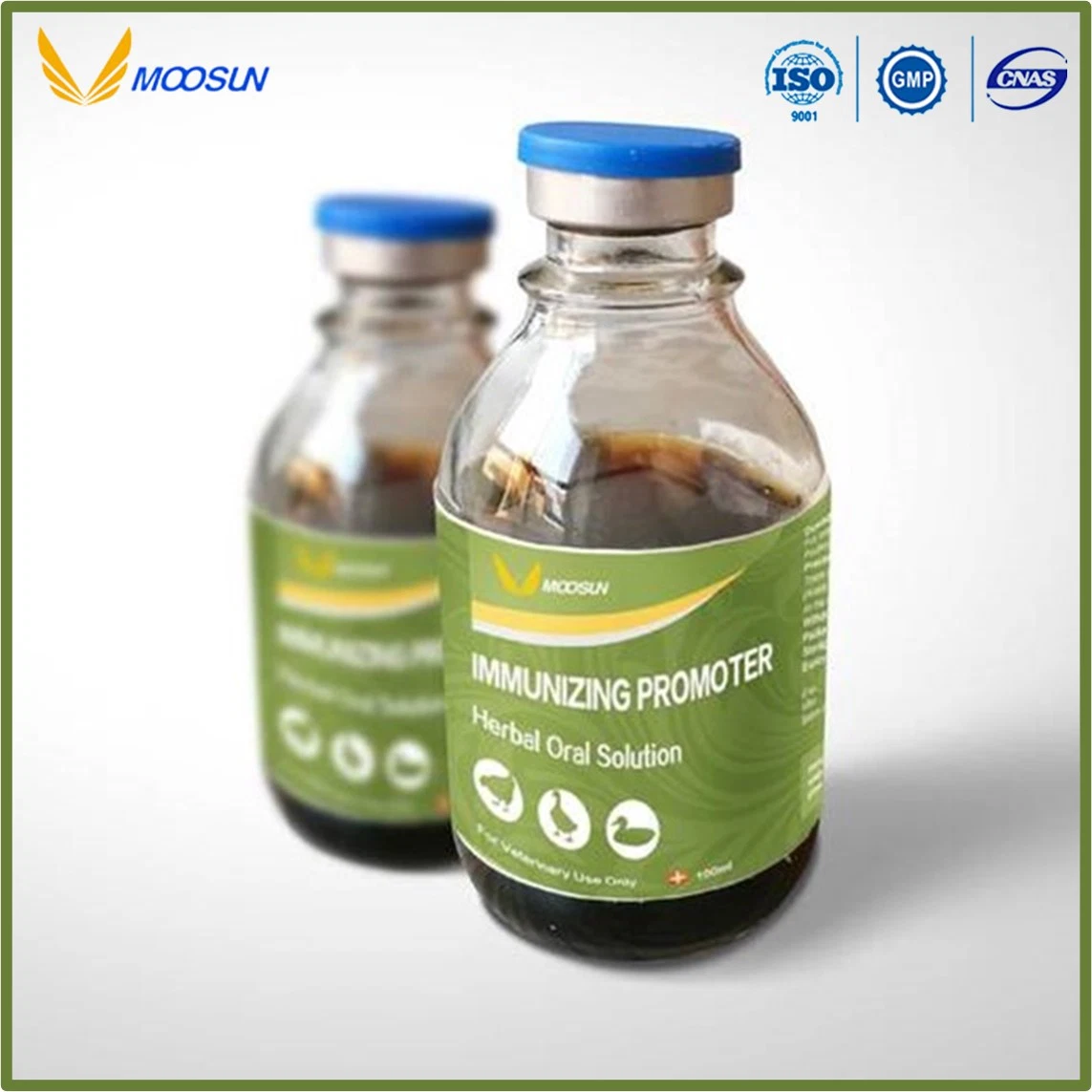 GMP Factory Anti Coccidia Herbal Oral Solution Veterinary Drug