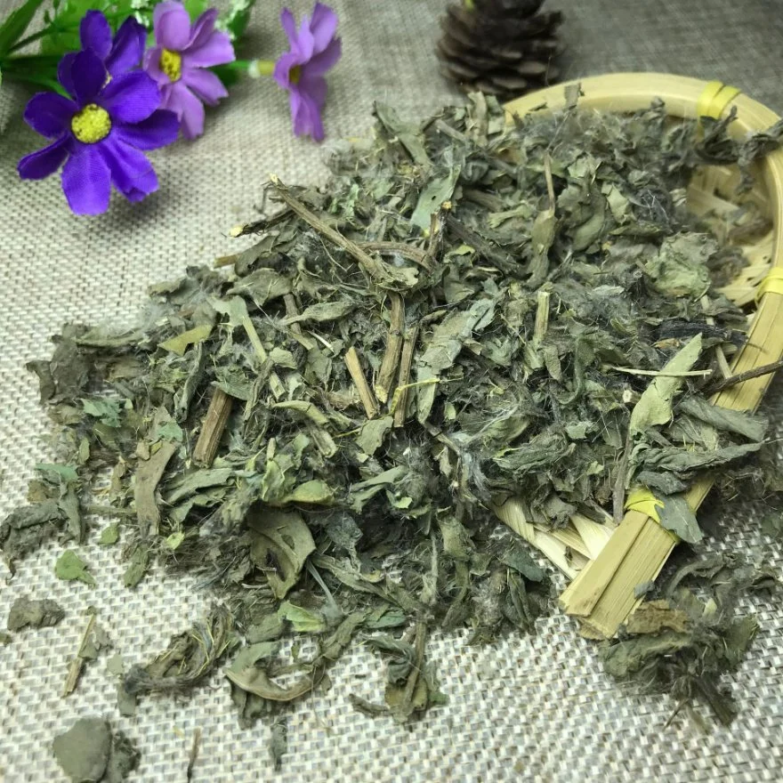 Xiaoji Herba Cephalanoploris Chinese Herbal Medicine Thistle for Health