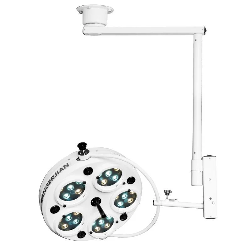 Pet Hospital Shadowless Lamp Operating Surgery Light LED Lamp with Battery