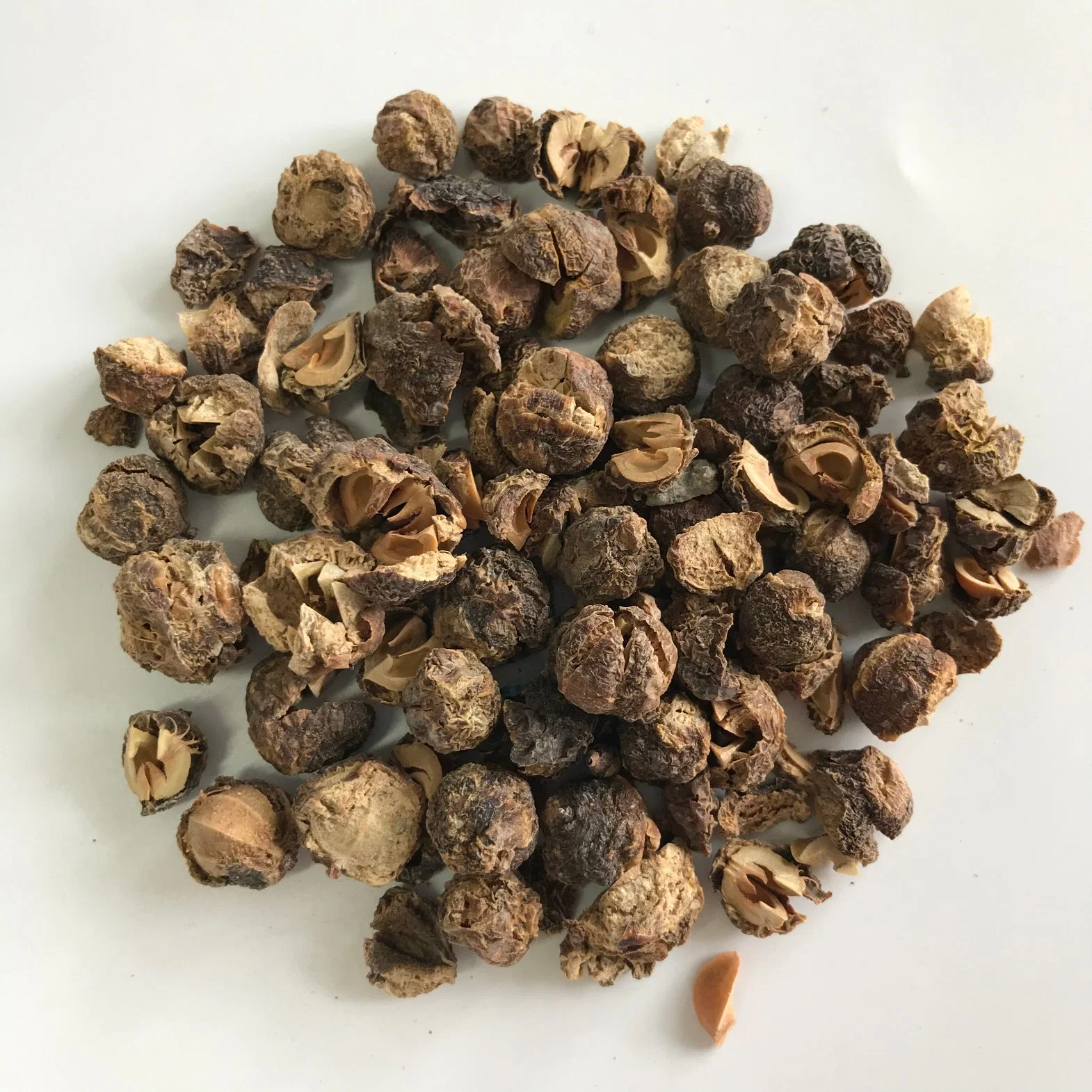 Yu GaN Zi Chinese Herb Medicine Dried Fruit Emblic Leafflower Fruit for Health