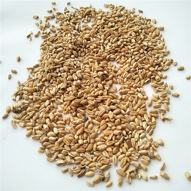 Fu xiao mai Chinese herbal dried Fructus Tritici Levis/Floating wheat/light wheat for sale