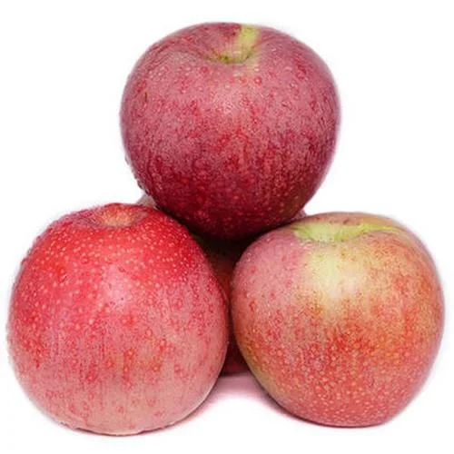 Fresh Non Bagged Qinguan Apples