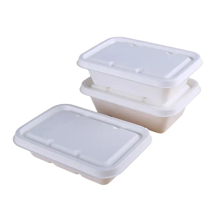 Fluoridfreie Zuckerrohr Bagasse Zellstoffschale mit Papierdeckel