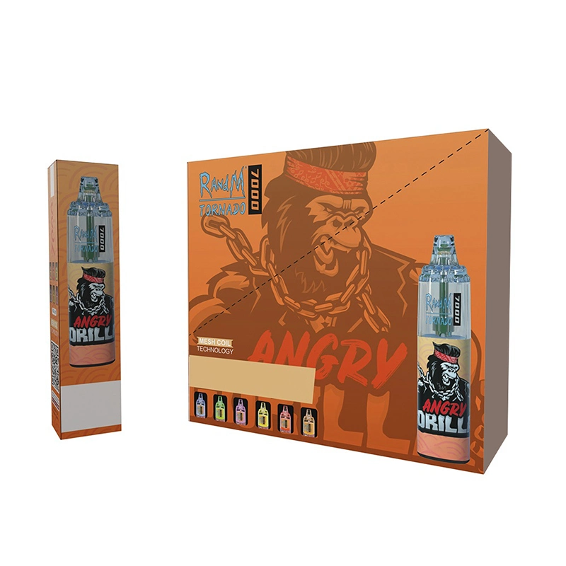 VAPE Fabricant Vente en gros Elf i Vape Randm Tornado 7000 9000 Puffs BC5000 10000 Kit de stylo à couches Ecig