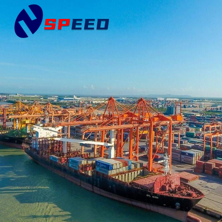 Faster sea Freight Shipping Forwender Company de China a Uxembourg, Dinamarca, Irlanda DDP a servicio de la puerta