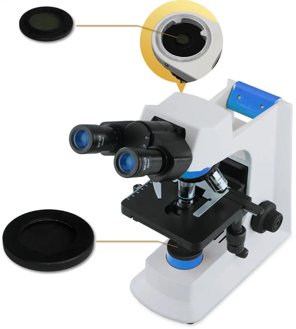 Bestscope BS-2036B microscópio biológico