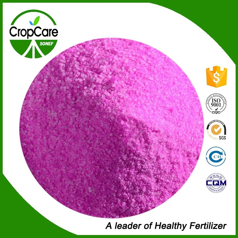 Factory Supply Water Soluble NPK Fertilizer 19-19-19 Chemcials with Agriculture Manure