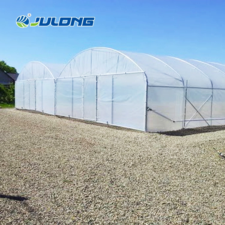 China Manufacturer Arch Plastic Film Greenhouse Frames with Cooling and Heating System