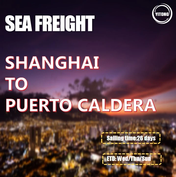 Shipping Container From Shenzhen to Puerto Caldera Costa Rica