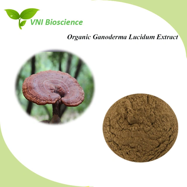 Kosher Certified 100% Natural Polysaccharides Reishi Extract