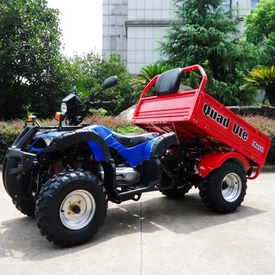 Veículo UTV de boa qualidade, com uma moto 4 de 250 cc e pouco potente, com motor de 4 x 4 utilitários Com CE