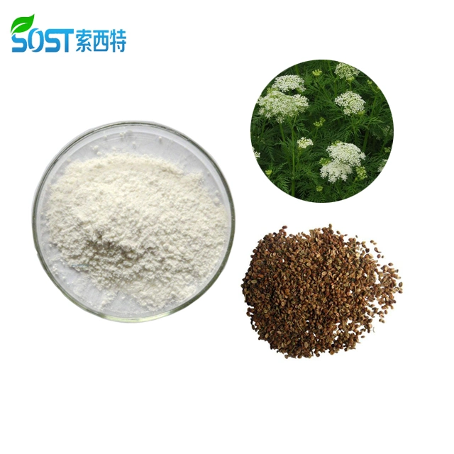 Increase Sperm Secretion Functional Common Cnidium Fruit Extract