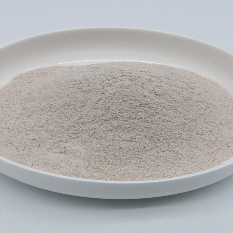 Super Quality Feed Additive Clostridium Butyricum Probiotics Powder for Animal