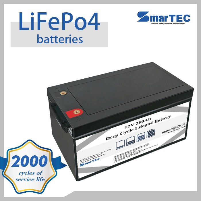Portátil personalizada Li-ion de litio// LiFePO4 Batería 12V 250AH OEM para E-vehículo batería exterior