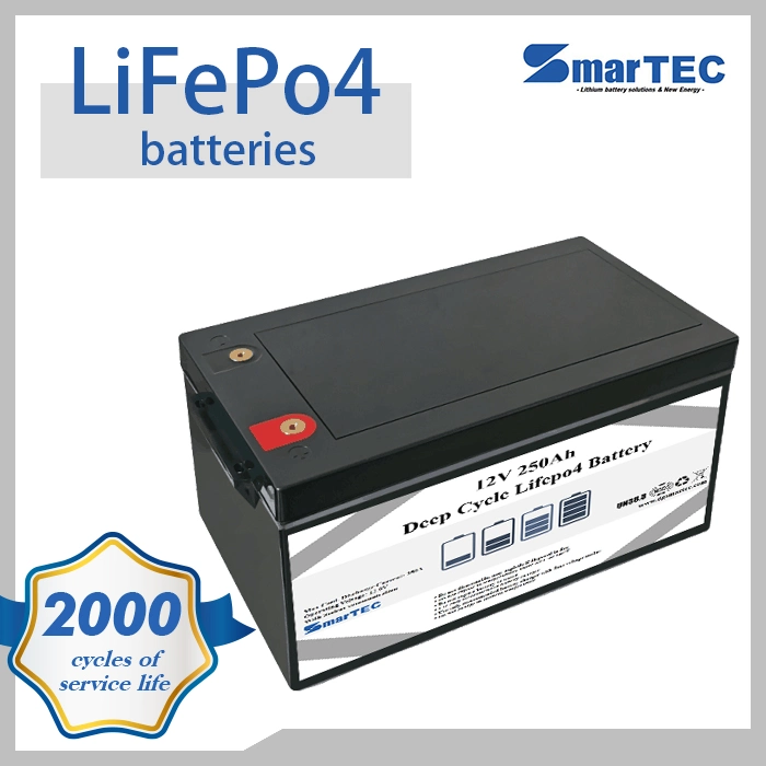 China Customized Portable Lithium/ LiFePO4 Battery Pack 12V 250ah for E-Vehicle