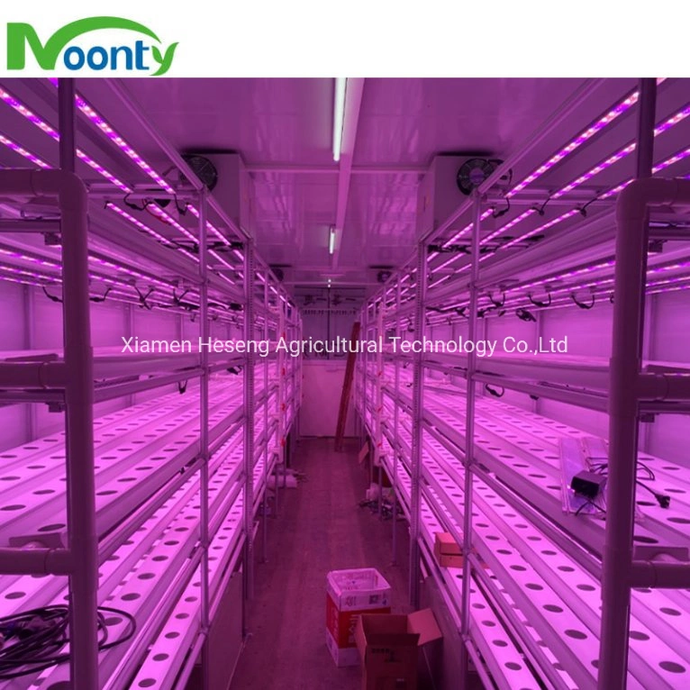 40FT Indoor Vertical Farming Hydroponics System Smart Shipping Container Greenhouse