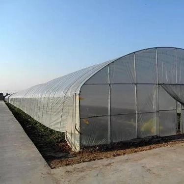 PE or Po Film/Plastic Production Xinhe Greenhouses Single Multi-Span Greenhouse