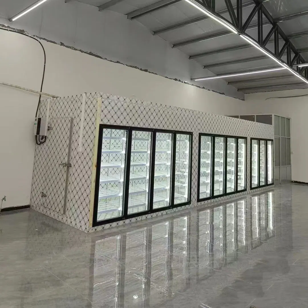 Flor Mostrar caminar en refrigerador Congelador almacenamiento frío habitación con Puerta de vidrio