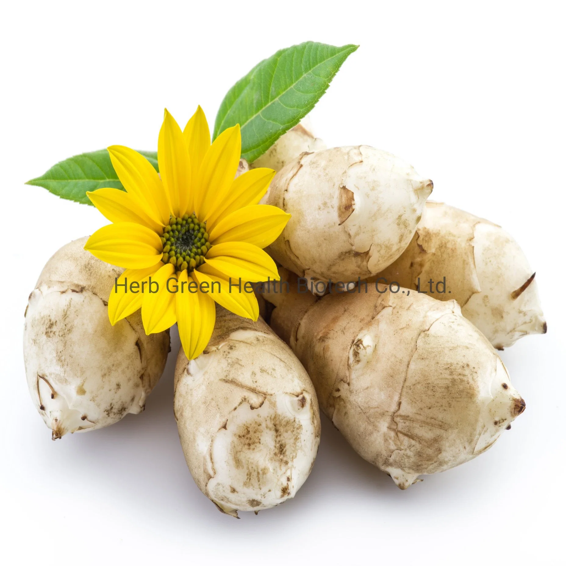 Natural Food Sweeteners Water Soluble Helianthus Tuberosus Root Extract Synanthrin Inulin Nlt 90% Powder