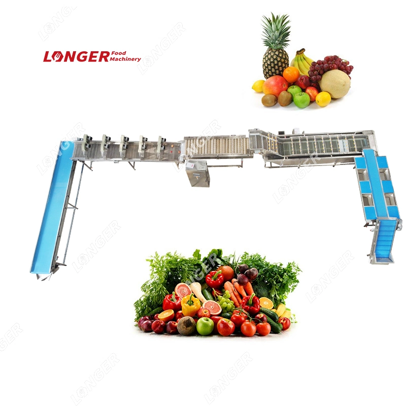 Multi Fruit and Vegetable Washing Line Vegetables Processing Line Fruit and Vegetable Cutting Packing Machine Line