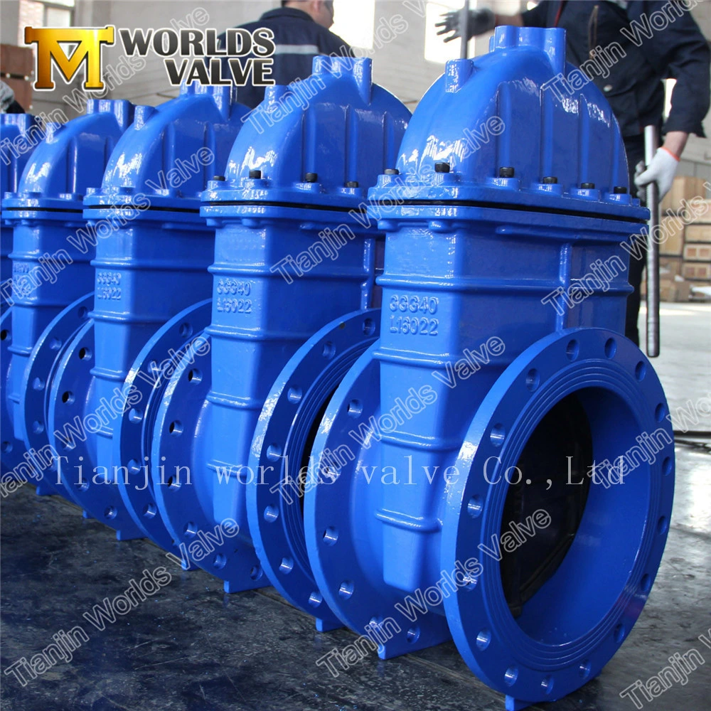 Ductile Iron Rubber Coated Gate Valve for Water Pipeline