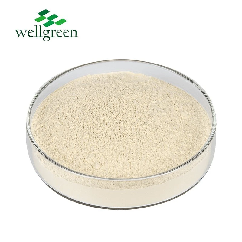 Wellgreen granel Natural extracto de romero Rosmarinus officinalis Rosmarinic polvo ácido