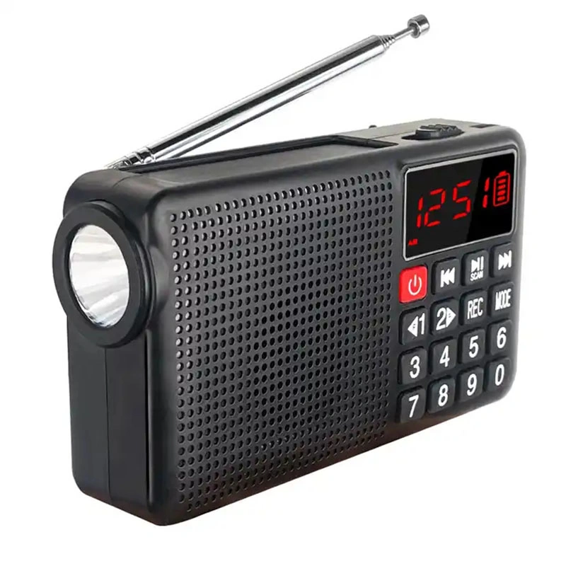 Hot Sale Multifunctional Controlled Weather Station Radio