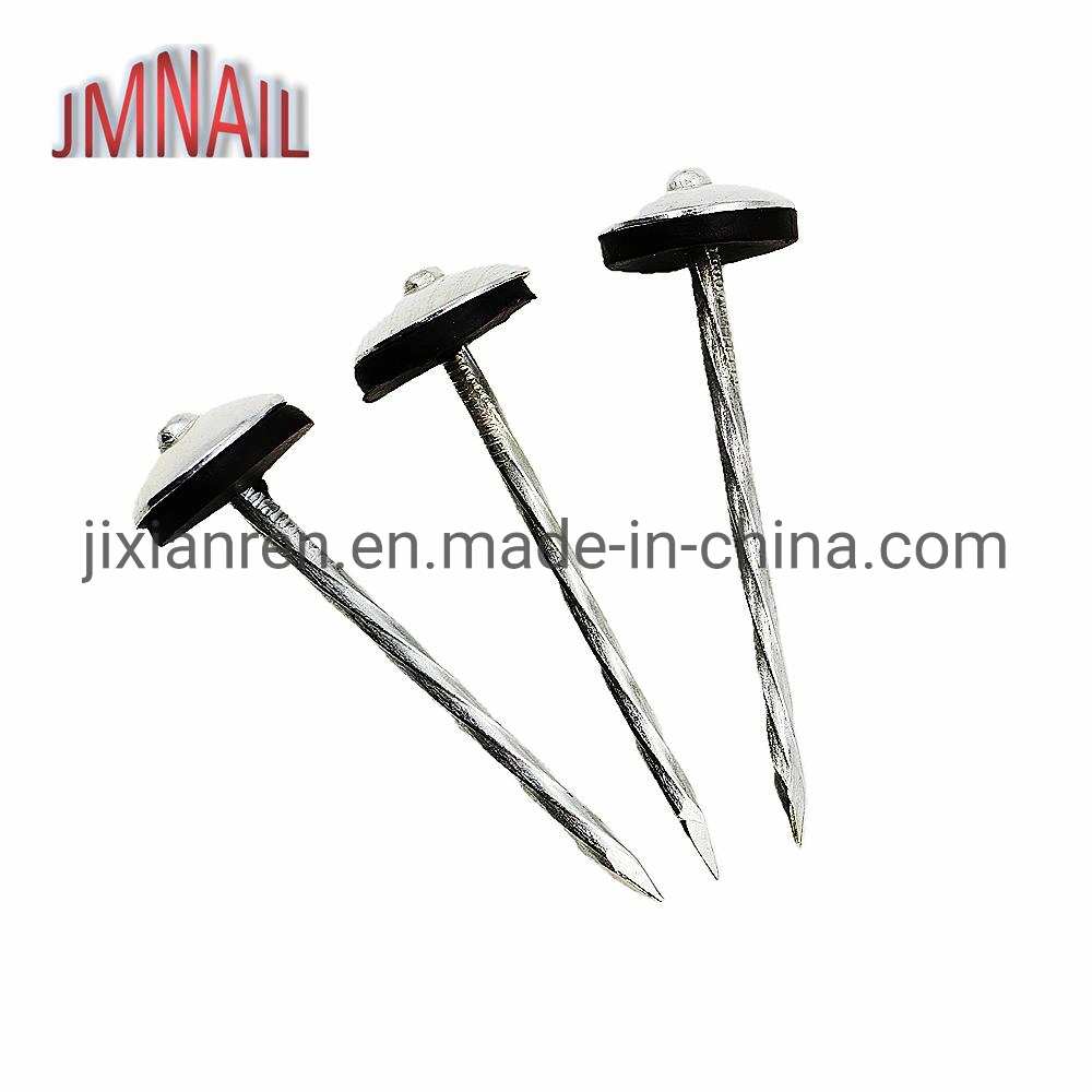 Roofing Nail, Umbrella Head Roofing Nail, Roofing Nail with Umbrealla Head