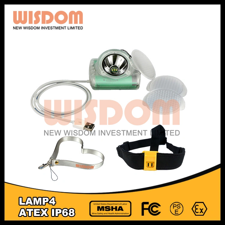 New Wisdom Fashion Belt for Hanging Lamp