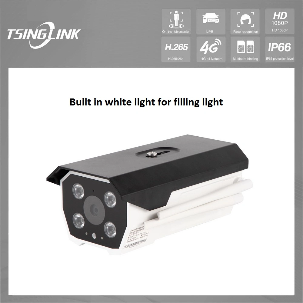 Number License Plate Recognition Lpr IP Bullet Cameras for Outdoor Full HD Surveillance