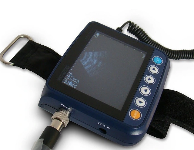 Mini Ultrasound Scanner for Both Small and Large Animals