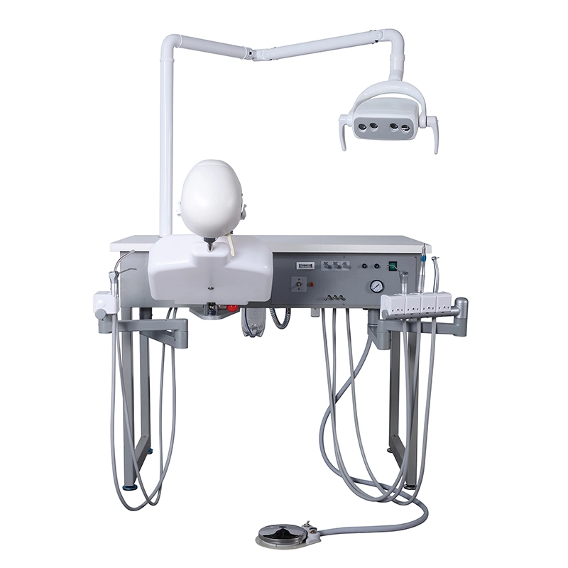 Dental Training System Unit Medical School Use Dental Phantom Head Simulator