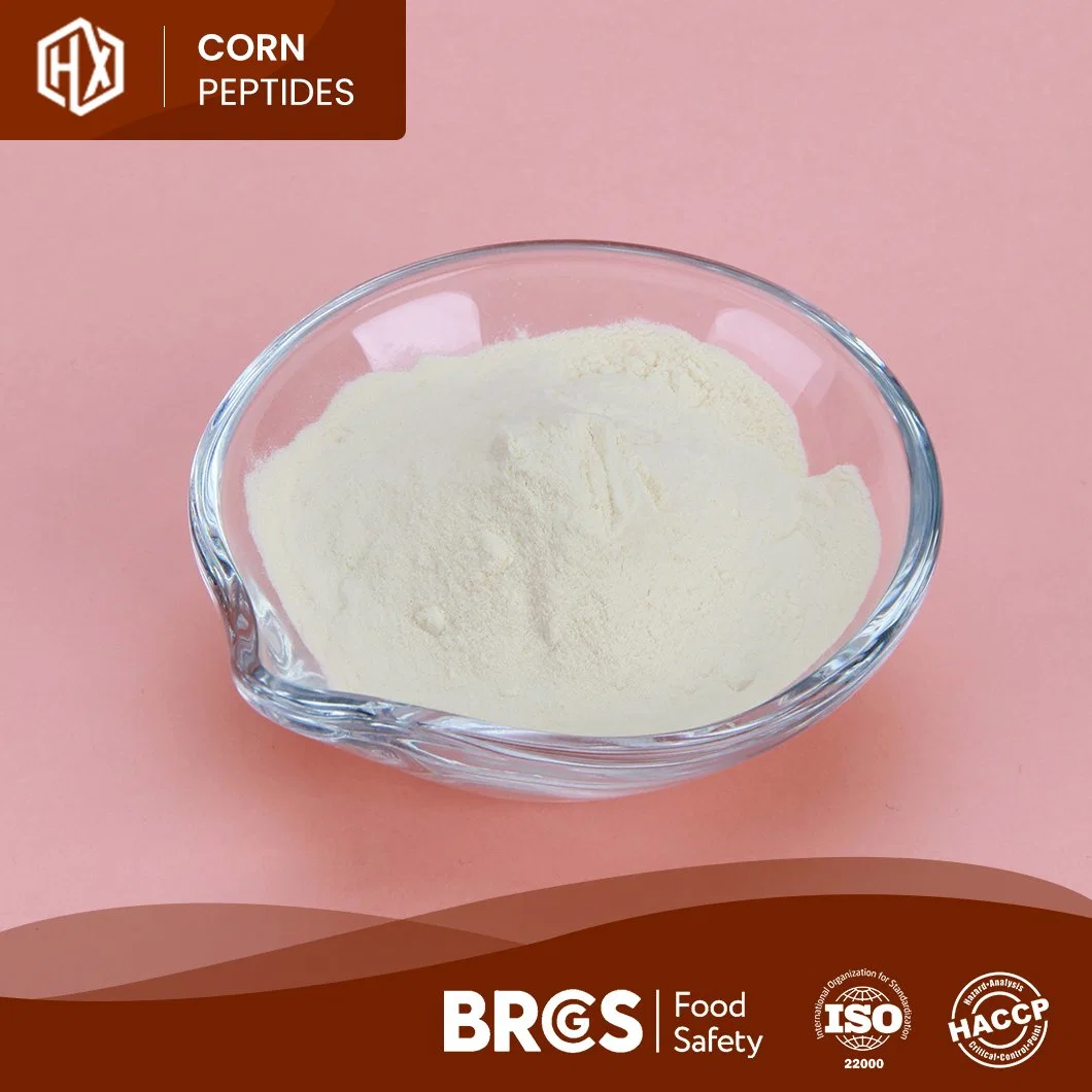 Haoxiang Supply Organic Corn Protein Peptide Meal Cornbean Protein Fiber Isolate Concentrate Powder High quality/High cost performance  Small Molecular Active Corn Collagen Peptide