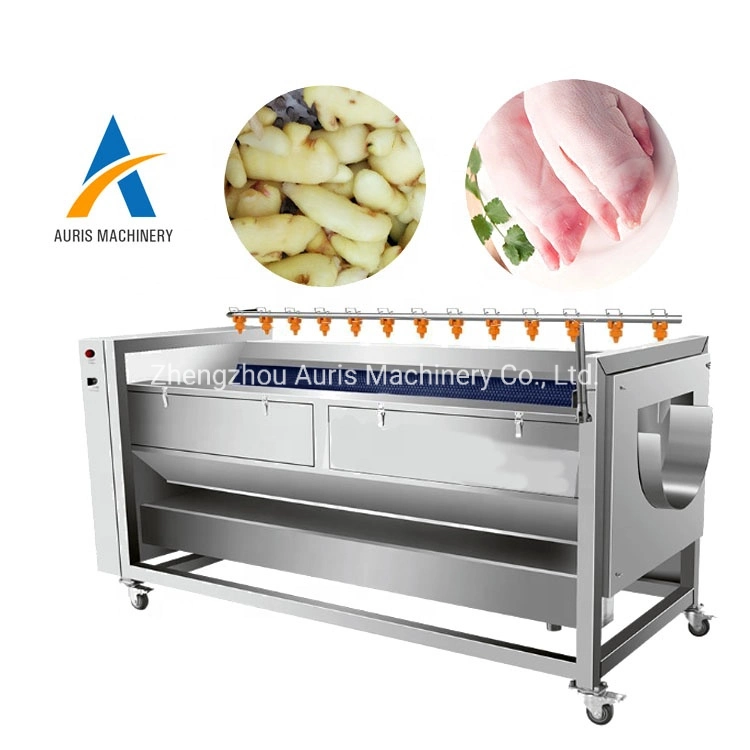 200-500kg/H Vegetables Brush Roller Washer Ginger Yam Cleaning Machine Carrot Potato Dates Avocado Fruit Processing Machine