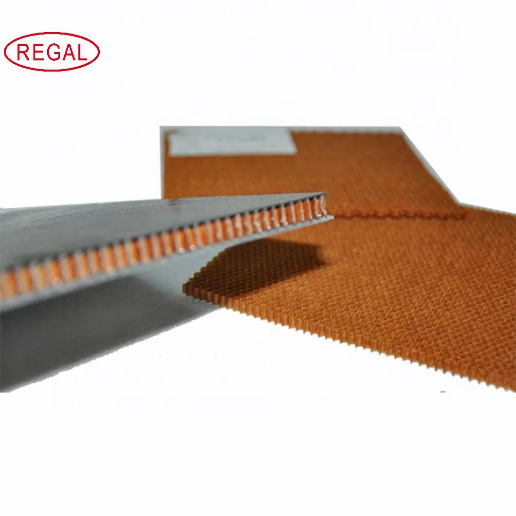 Customized Size Aramid Honeycomb Core Sheet as Sandwich Panel Fiberglass Reinforce Process for Aerospace