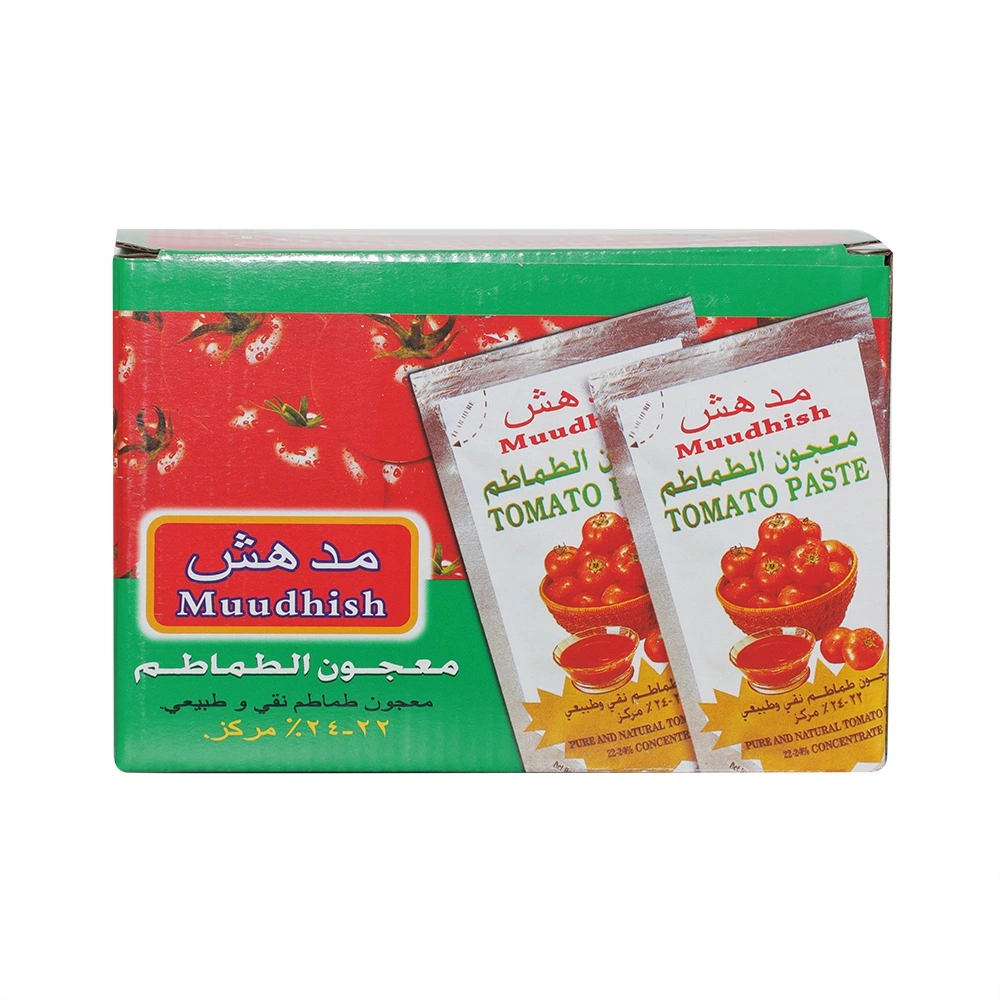 Alimentos al por mayor Ketchup Gino fácil de abrir concentrado en conserva Tomate Pasta Precio 70g Oman normas, 100% pureza Muudhish