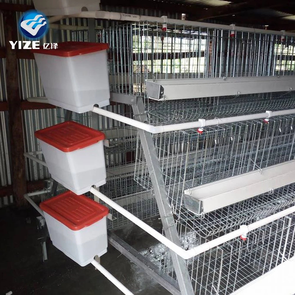 10000 Birds Poultry Farm Automatic H Type Battery Chicken Egg Laying Hen Layer Cages for Sale