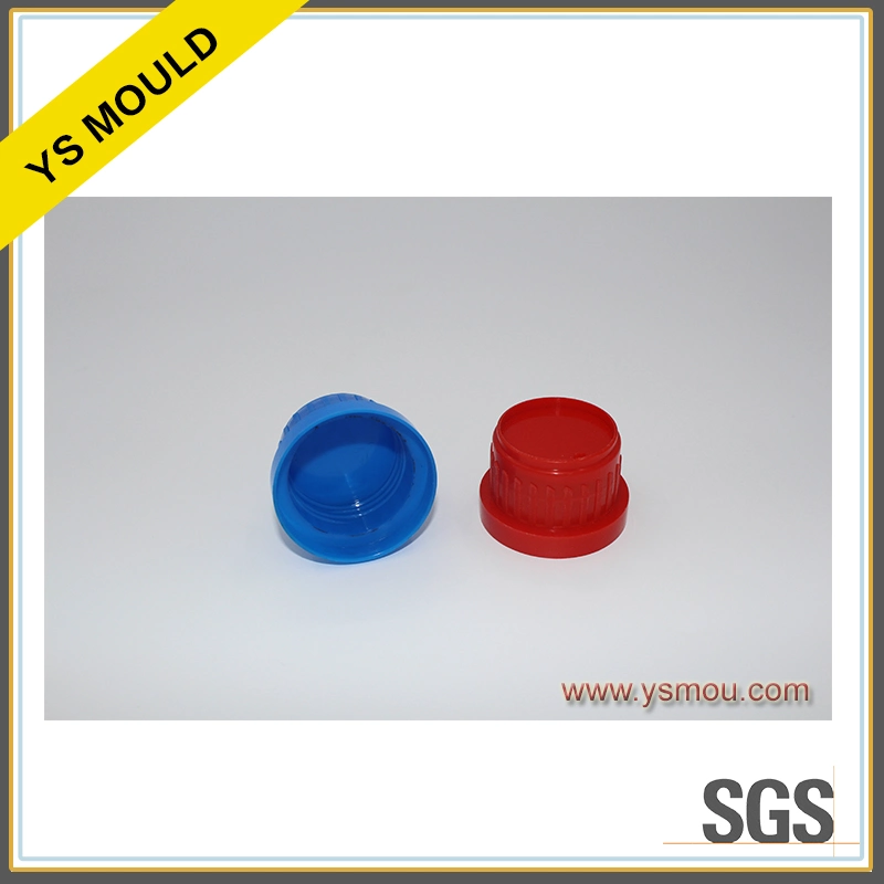 Custom Plastic Injection Mould Shampoo Bottle Cap Mold Spray Caps Mould Sports Cap